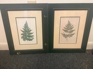 2 Antique Botanical Lithograph of a Fern Prints by Edward J. Lowe London c.1867